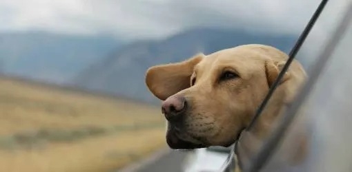 Scoprire Creta in Auto: Un'avventura in Viaggio su Strada